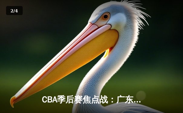 CBA季后赛焦点战：广东宏远加时险胜辽宁本钢 易建联关键封盖锁定胜局 - 2